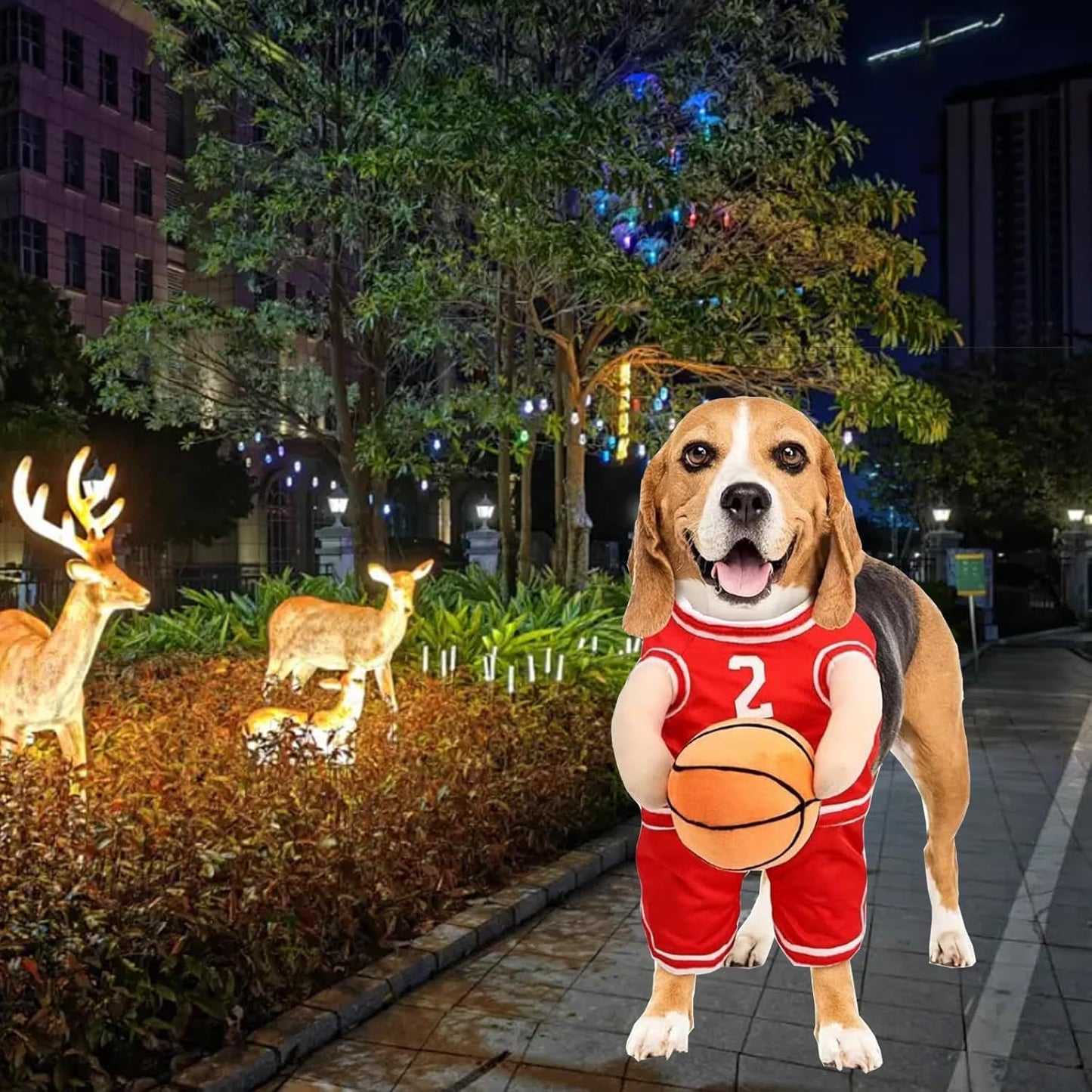 Dog sports Player Costume – Funny Pet Outfit- Halloween