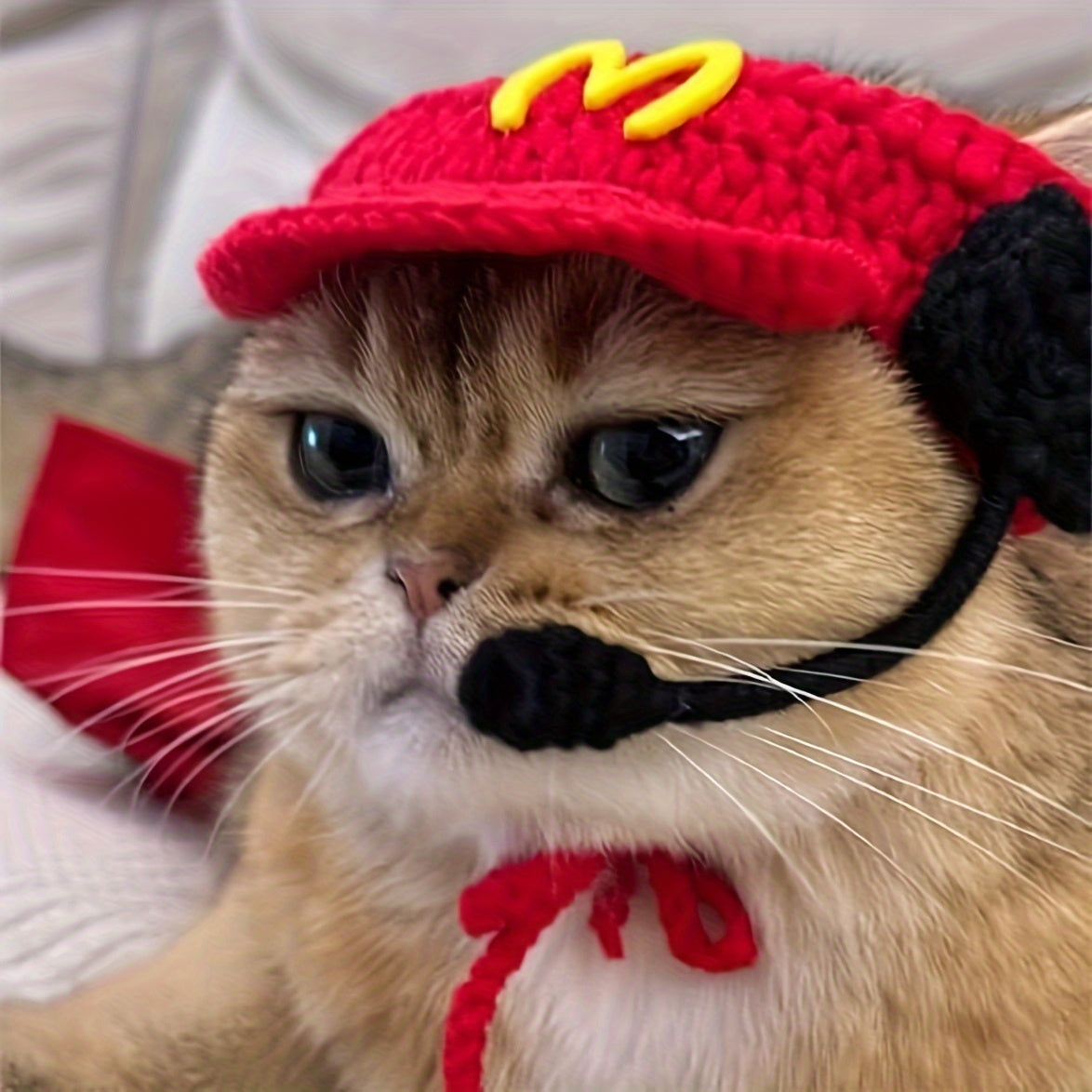 Pet Chef Costume – Cat Hat & Sweater Set