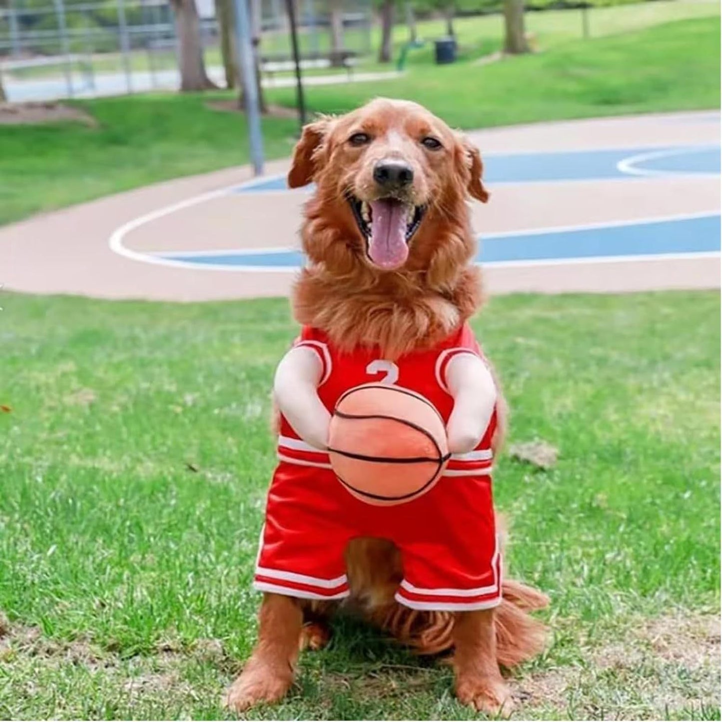 Dog sports Player Costume – Funny Pet Outfit- Halloween