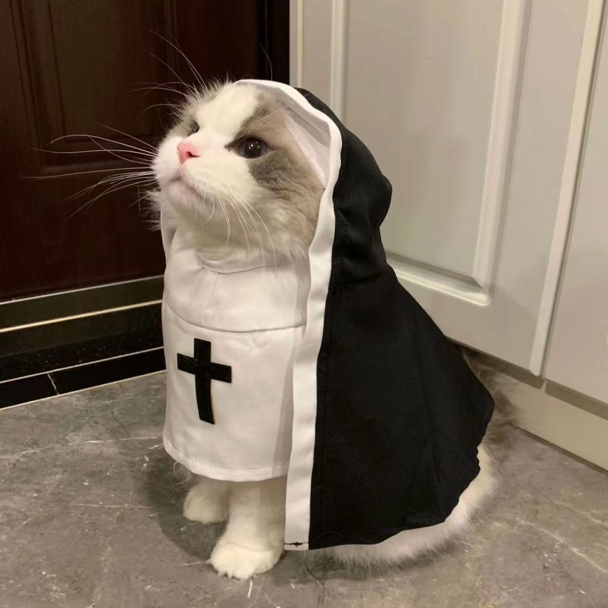 Nun Dog Costume – Pet Halloween Outfit (Apparel)
