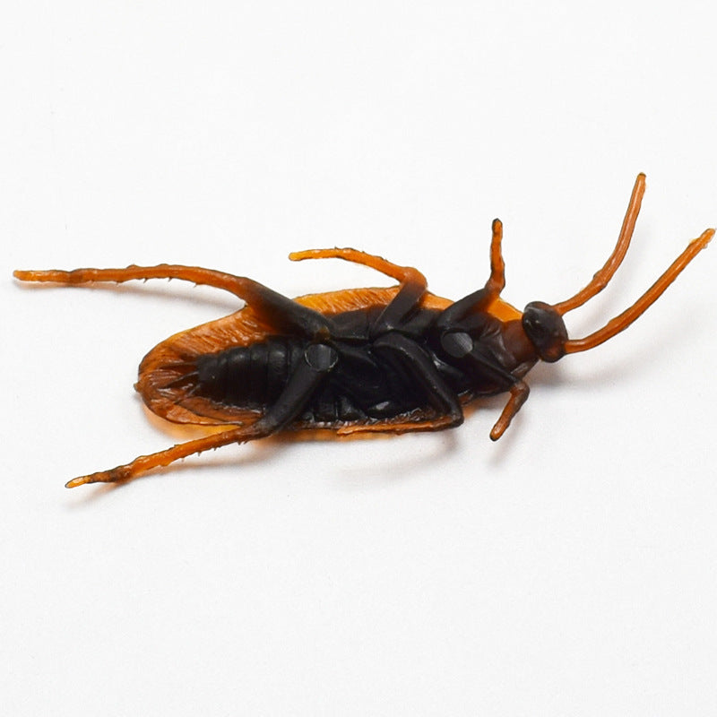 Halloween Simulation Cockroach Tidy Funny Disgusting Scary Toys