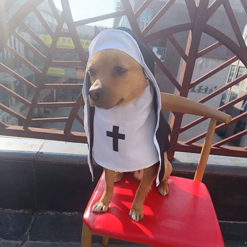 Nun Dog Costume – Pet Halloween Outfit (Apparel)