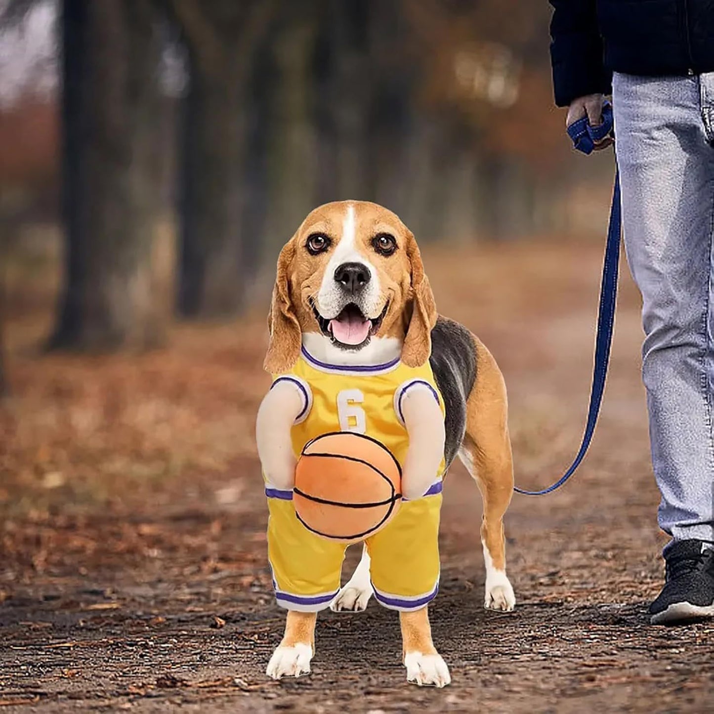 Dog sports Player Costume – Funny Pet Outfit- Halloween