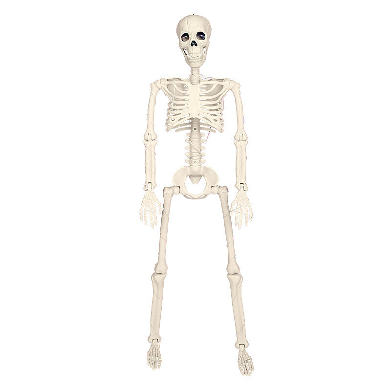 Hanging Halloween Luminous Skeleton for Decoration
