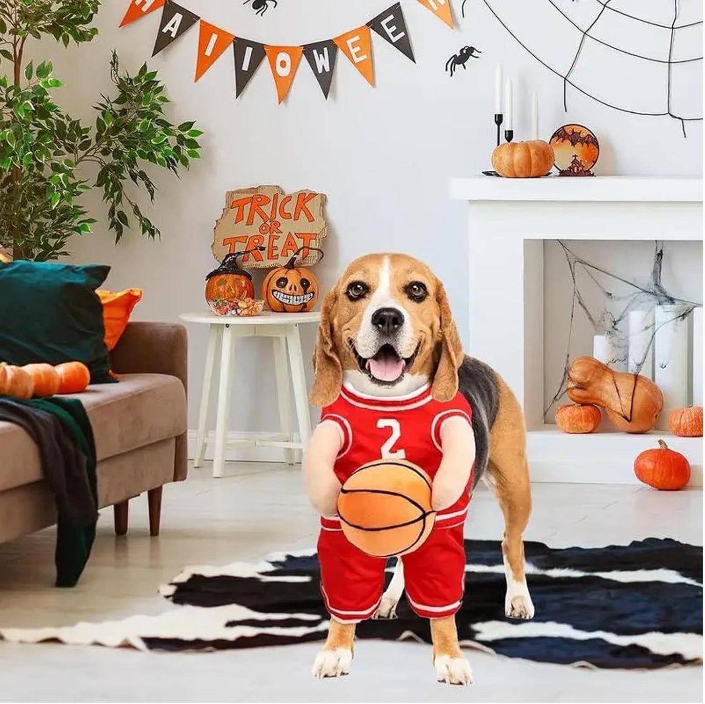 Dog sports Player Costume – Funny Pet Outfit- Halloween